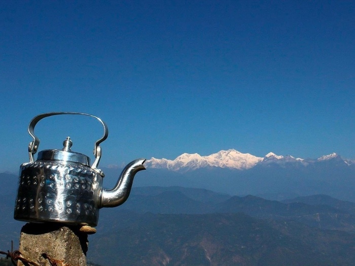 Сейчас появится джинн