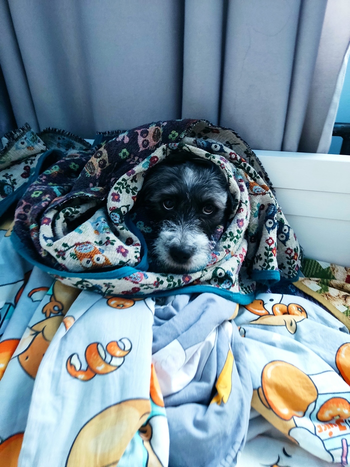 ����� ������