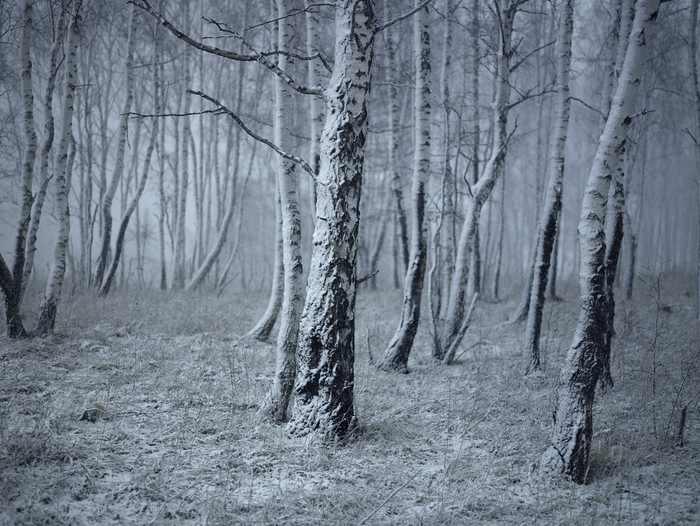 17. �������