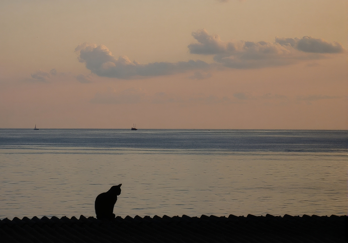 ��� �� ����� // ������ ���� // ���������