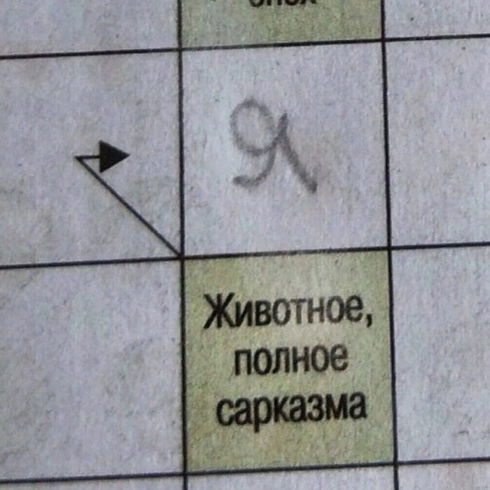 ��������, ������ ��������