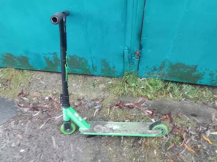 Ответ на пост «Чудо или нет?»