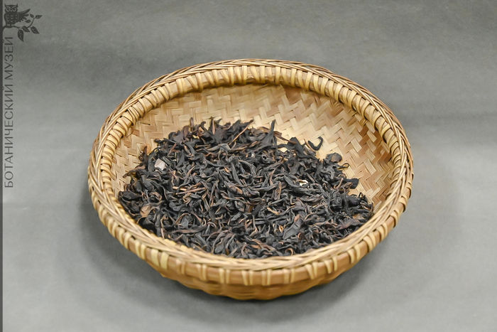 ������ ����� ��� ��������� ���. �����. �� �.�. �����������. ��������� ������������� �������� ������������� ����� ��� ���.