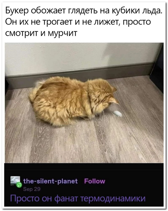 ����� �� ����� ��� ����