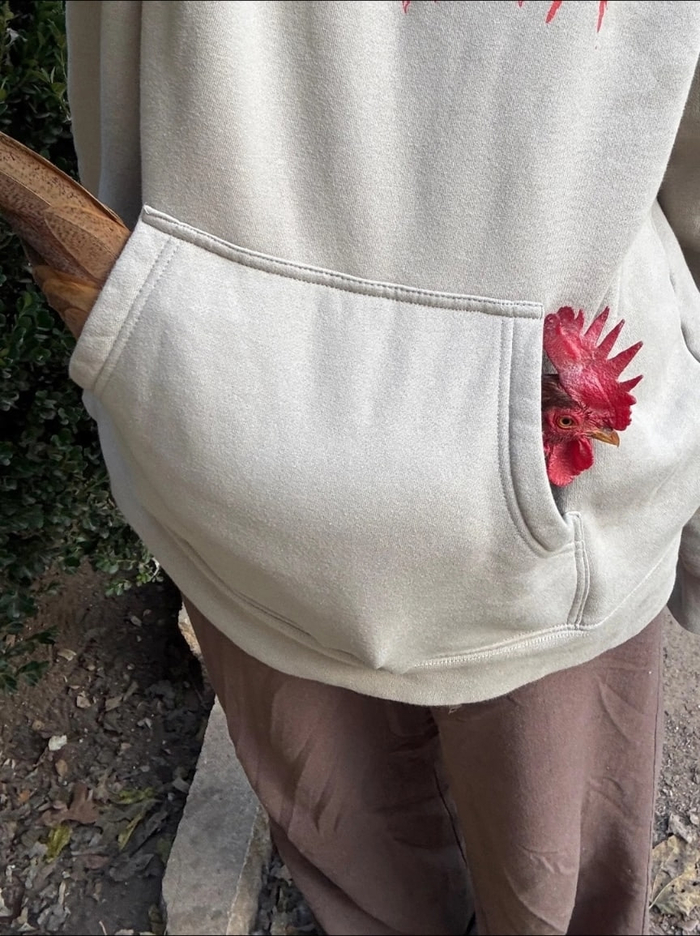 ��� ��� ���� ����� ���� ������