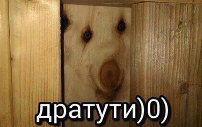 ������ �� 2016 ����