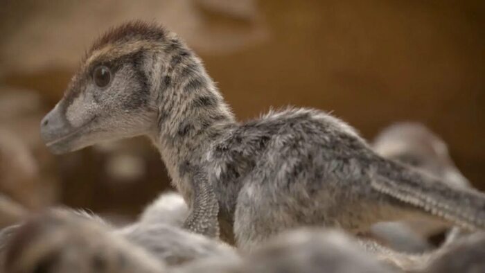 ��� �������� ������� �����������