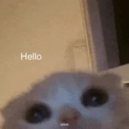 Memereality
