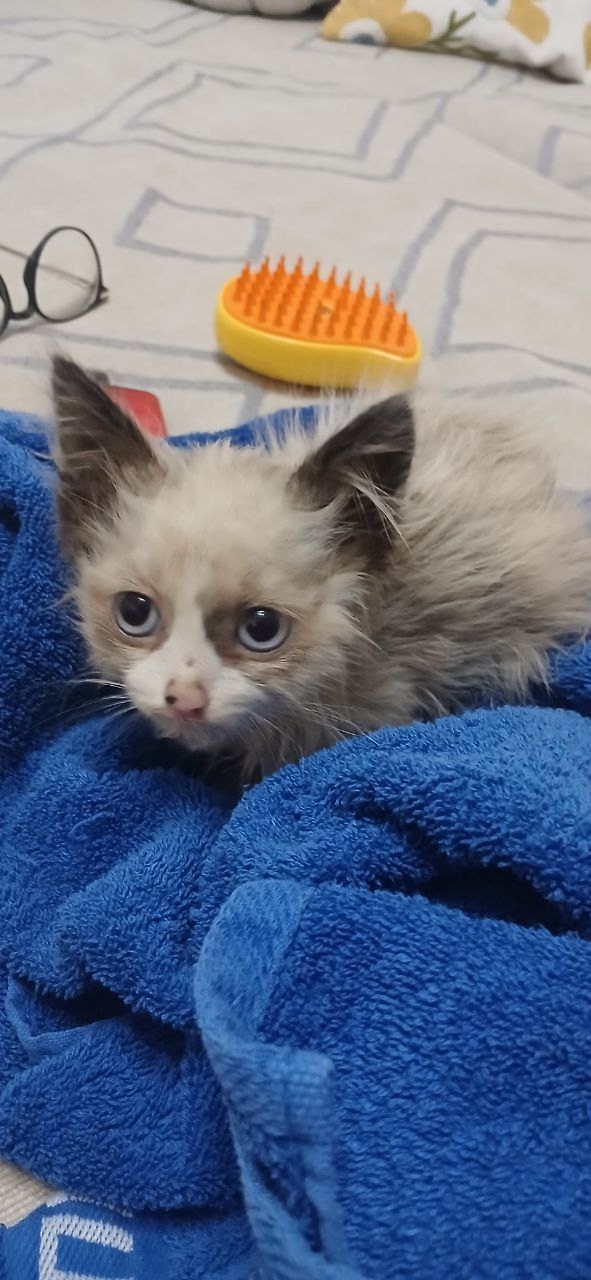 ��� ����� � ���������