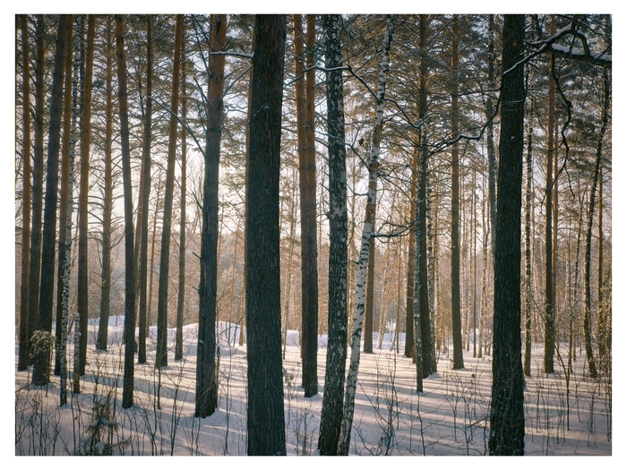 ������ ���� � ��������� ����. ��������, ���� ������, ���� ���� - �������� ����� ������� ���� ���� � ����, �� ����� ���� ������� ����������