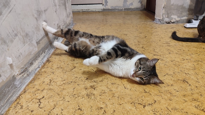 ����� �� ���� �����, � ���� ��� �����, ��� � ��� ������ �����?�