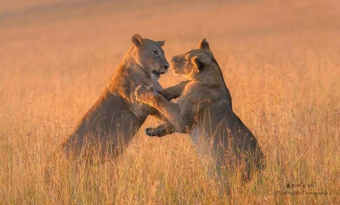 ��������