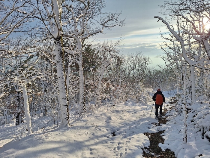 �� ����� �� ����� �����