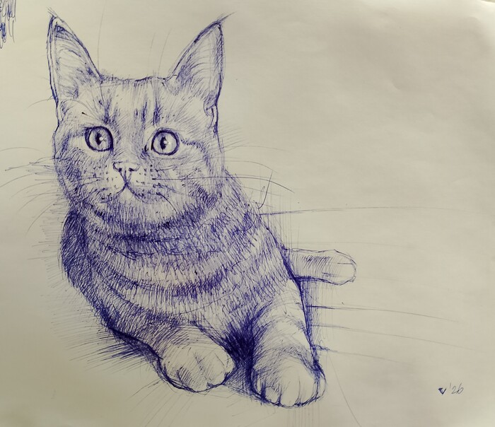 ���������