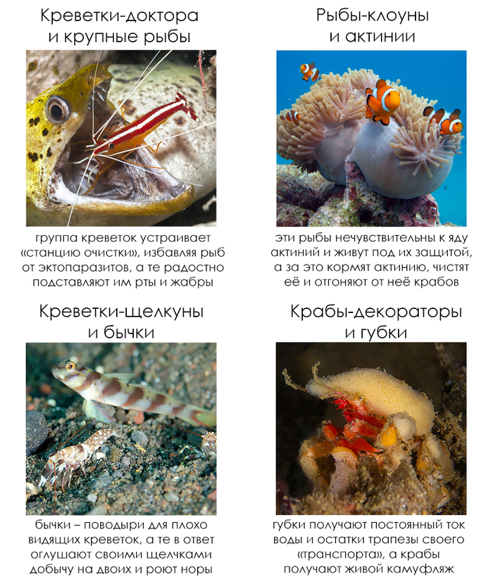 �������� ����� #74