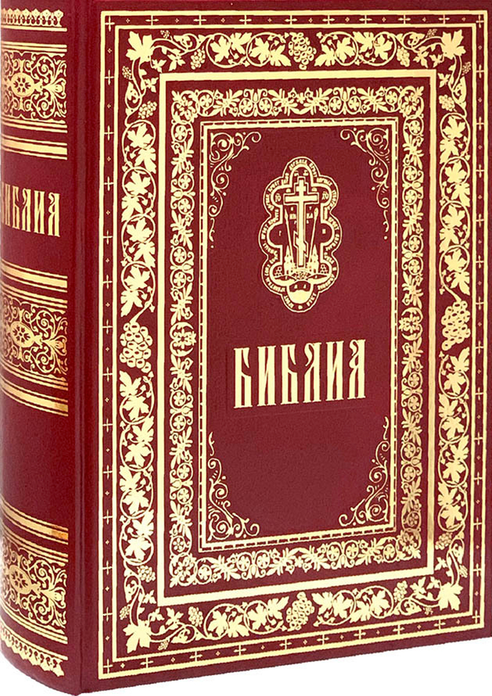 ����� foset � ������ �� ���� "���� �� � ��� ����� ������� �� ������ ����� 5 ���?"�