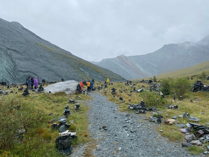 ������ ������