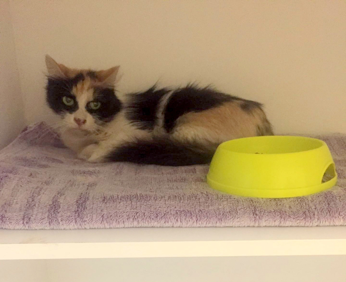 ������ ��� ���� � ������