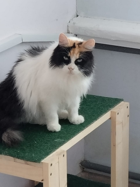 ���� � ������