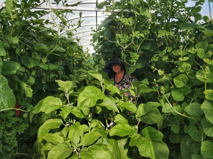 ���� �� ���� ��������. ��� ������ ����, � ����� ��� ������� �� ����� �������