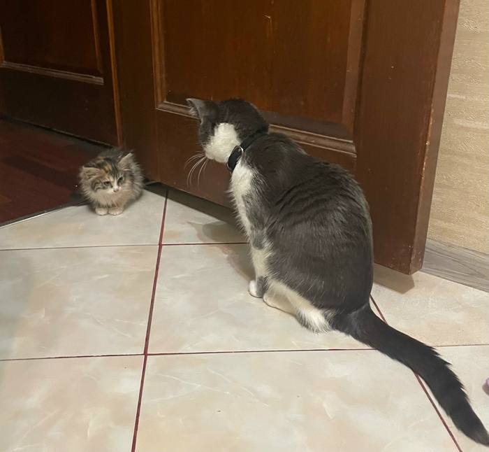 ������ ����������