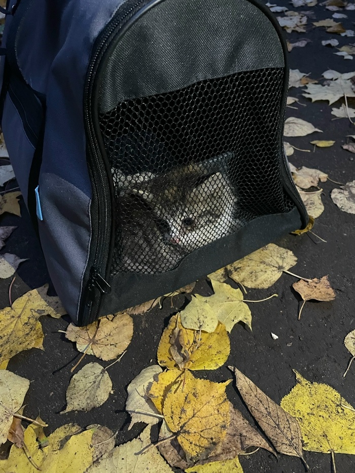 ������ ������� �� ������! ������!