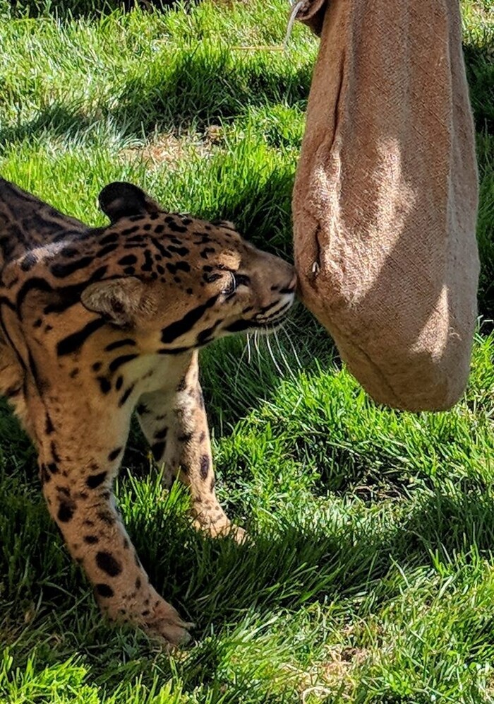 ���-�� ����������� ����� ��� ��������� ��������.