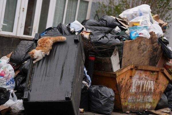 Пенсионерка выбросила коробку и оказалась под угрозой тюрьмы