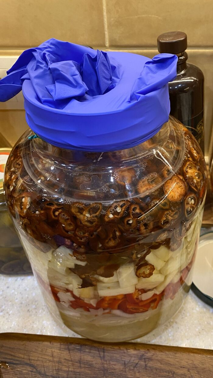 ������ ����� 💣