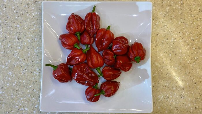 ���������� ��������