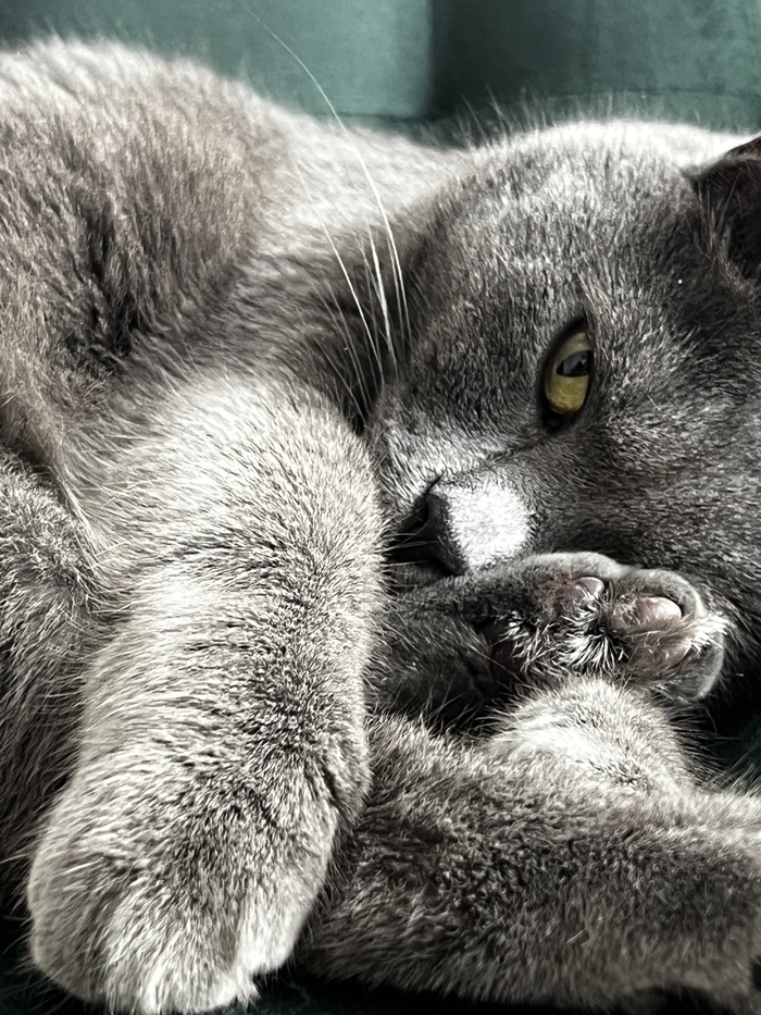 ���, ������� ������� �� ������ ����