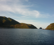 ������ �������. ����