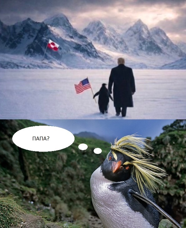 ����� �� ���� �Embrace the penguin, �� �������� ����� �� ����� ������