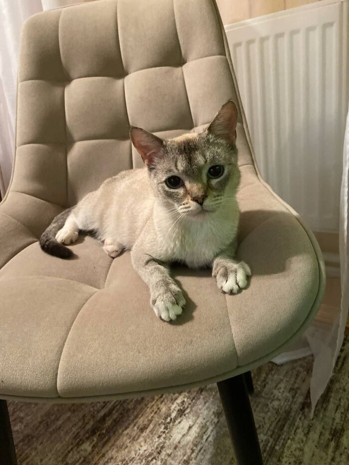 ���� ���� ���!