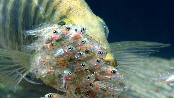 �����������, ���� �� ���� ���� ���������� ��������� �� ���?) 