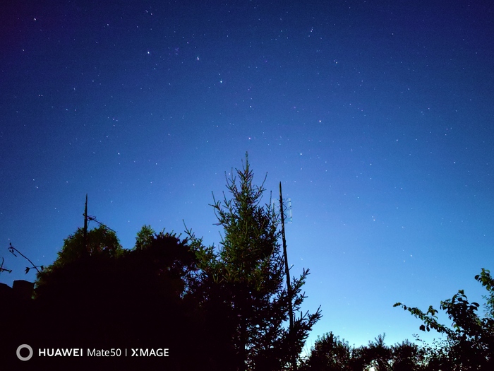 �����!!! ������ �� �����. ����� ������� ������� �� �����������