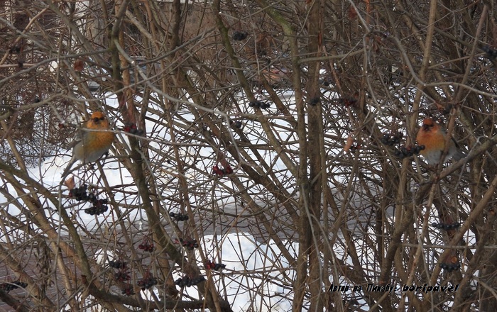 ���� ���������! 24 ������ 2026. �������� ���������, �����-���������.