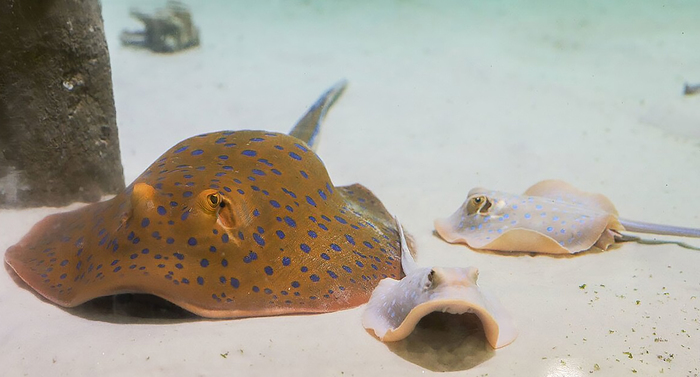 ����� �������������� �������� ���������� � ����� ���������, ����������� � 2020 ���� � "�����������" �� ����