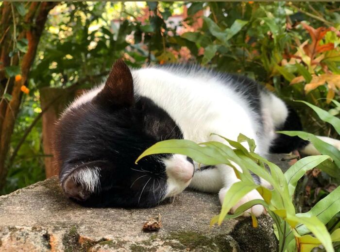 ������� ���