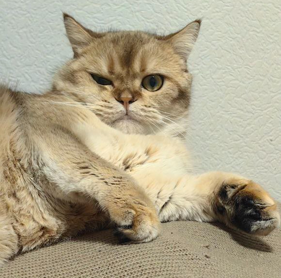 ������ ��������� ��� ����������