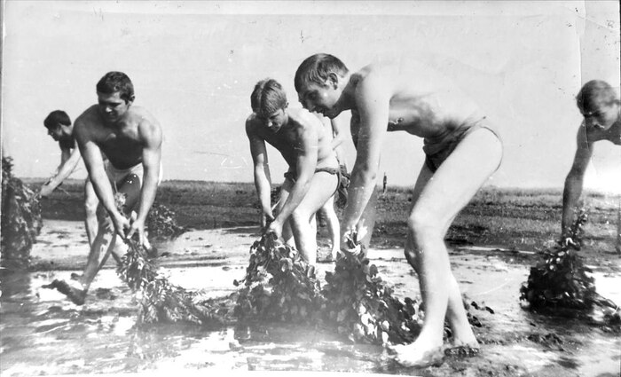 ������� ������