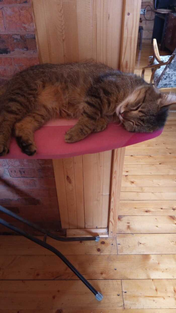 ��� �� ����� �������� � �������� ������