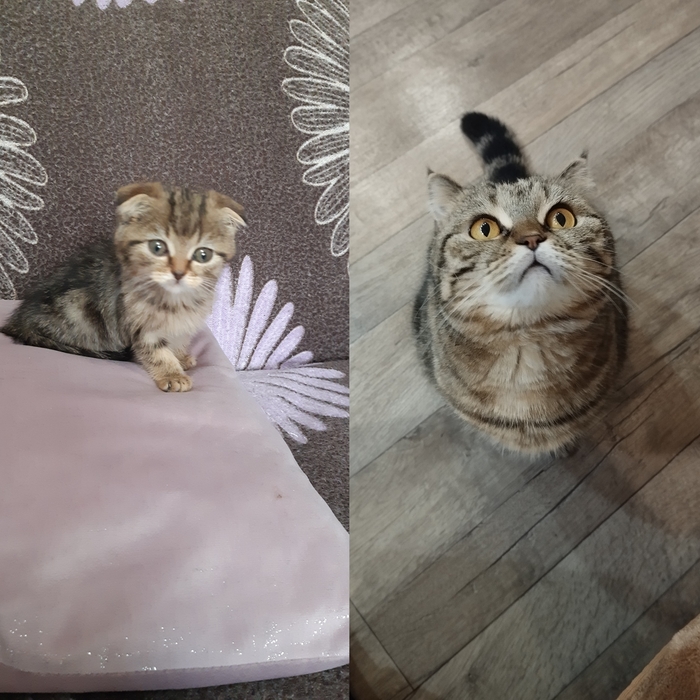 ����� �� ���� �����-�����