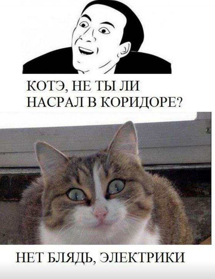 ����� �� ���� �������� ��������