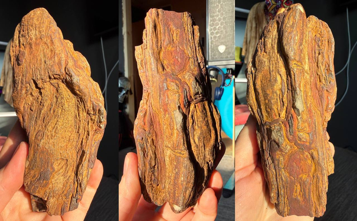 Зажелезнённый кусок дерева с лимонитом и пиритом.