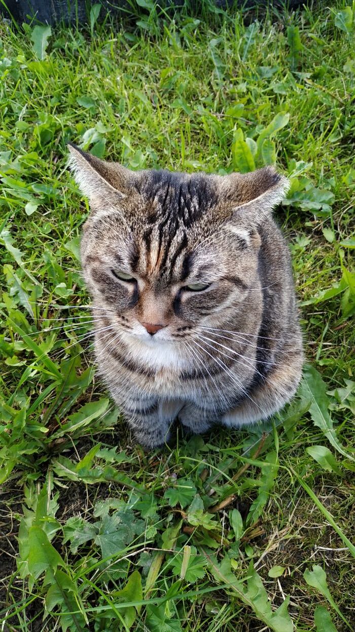 ��� ������ ������� � ��� �������� ������