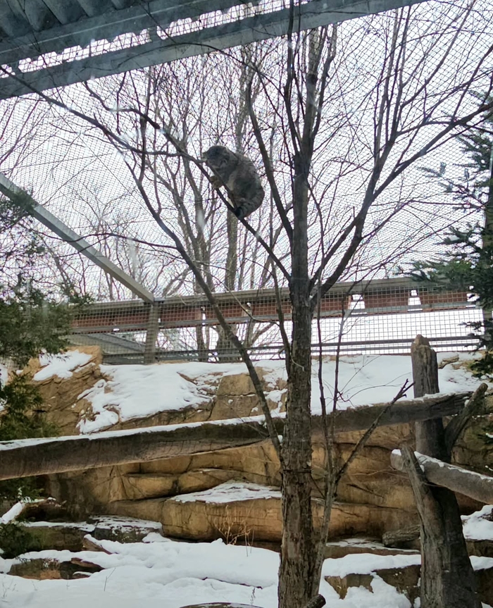 ����� � ��� �� �� ������ ��������?