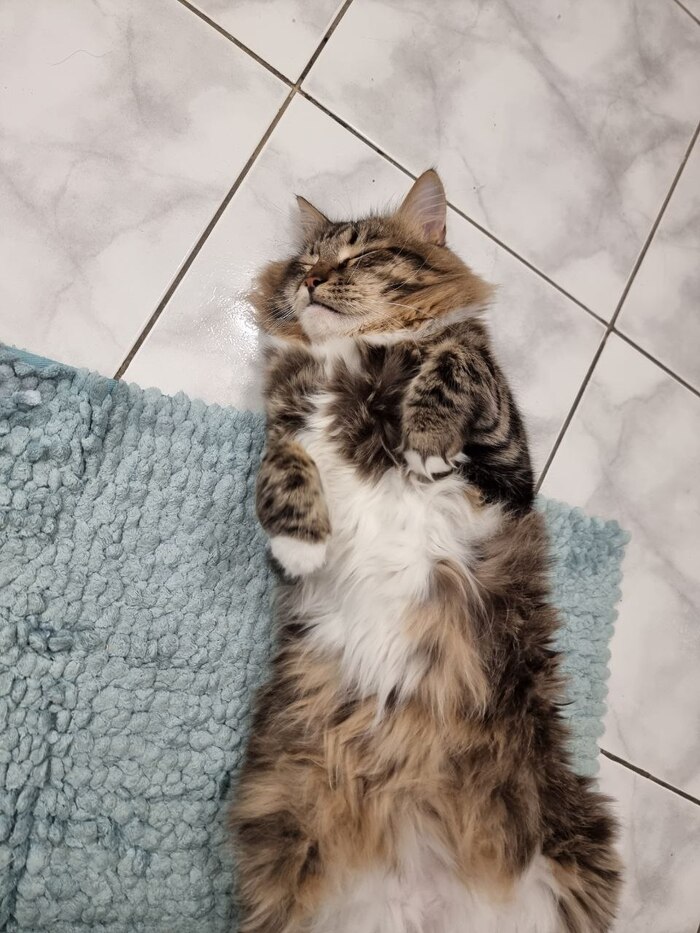 ����� �� ������