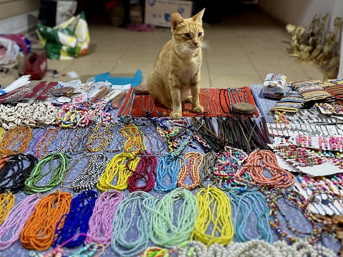 ��� ��������. �������, ������