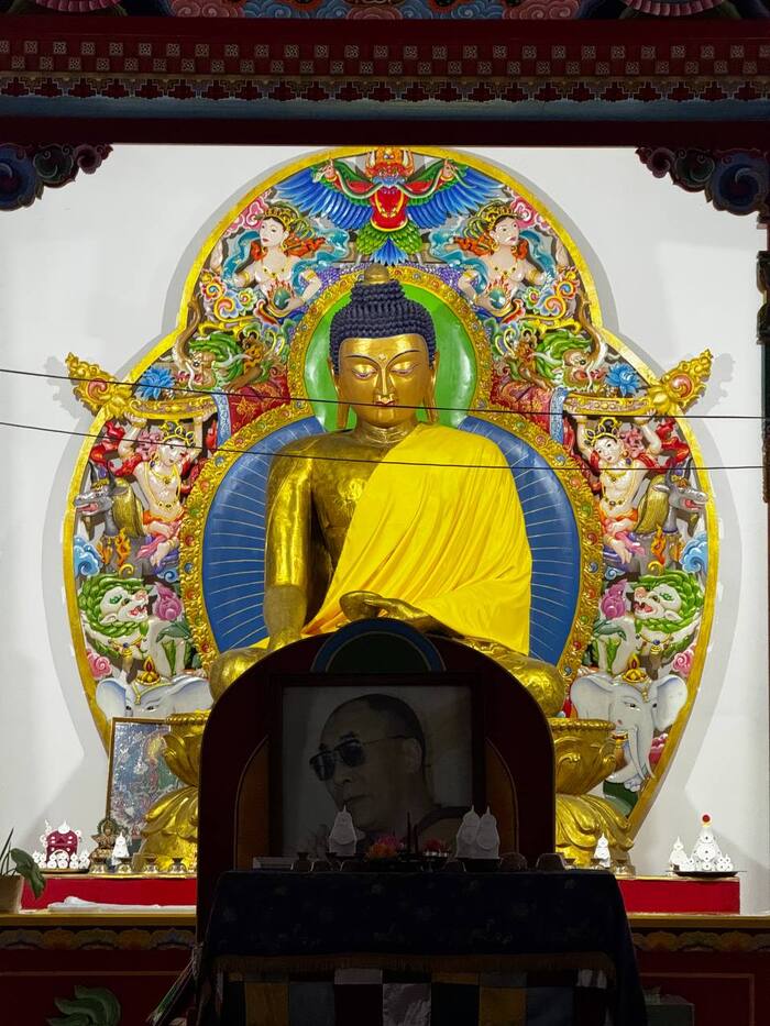 ���� ������